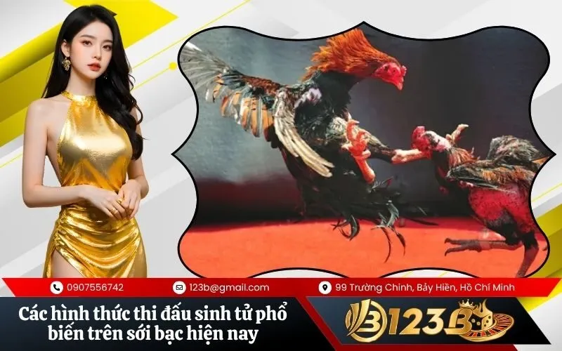 Các hình thức thi đấu sinh tử phổ biến trên sới bạc hiện nay