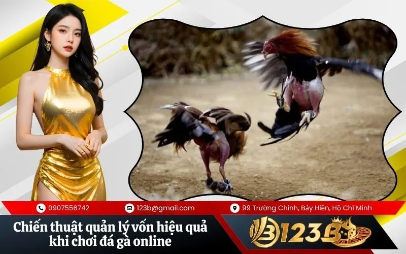 Chiến thuật quản lý vốn hiệu quả khi chơi đá gà online