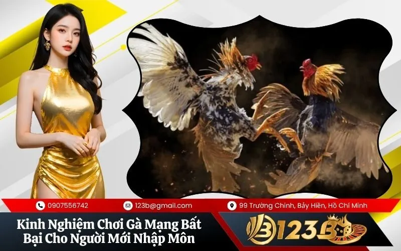 Chơi Gà Mạng