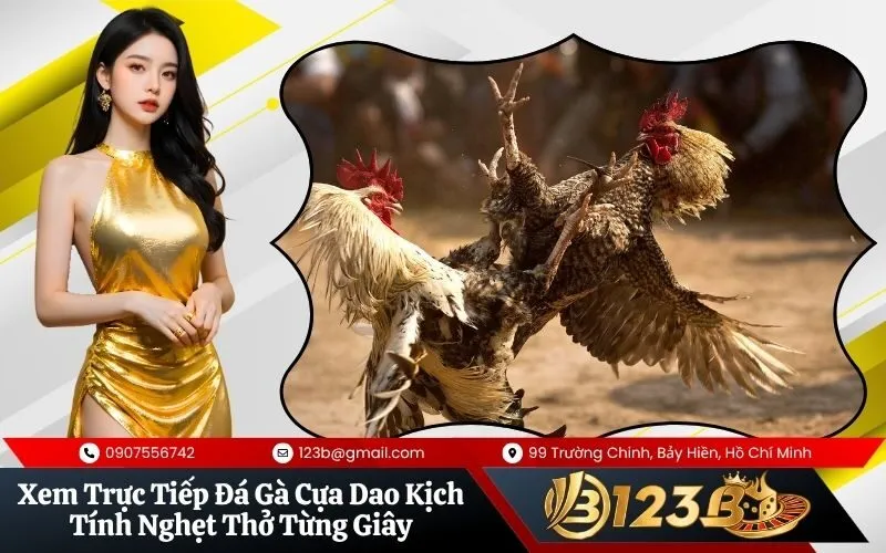 Đá Gà Cựa Dao