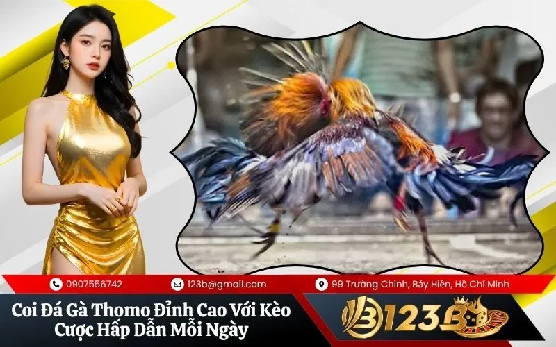 Đá Gà Thomo