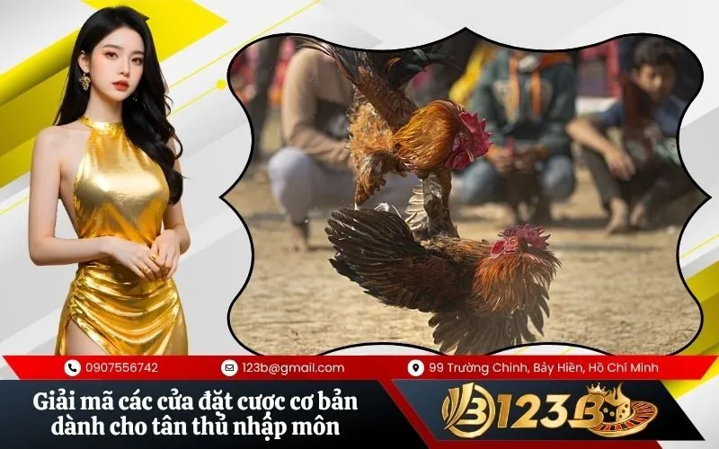 Giải mã các cửa đặt cược cơ bản dành cho tân thủ nhập môn