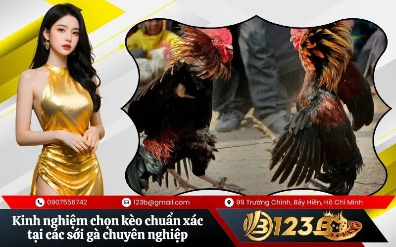 Kinh nghiệm chọn kèo chuẩn xác tại các sới gà chuyên nghiệp