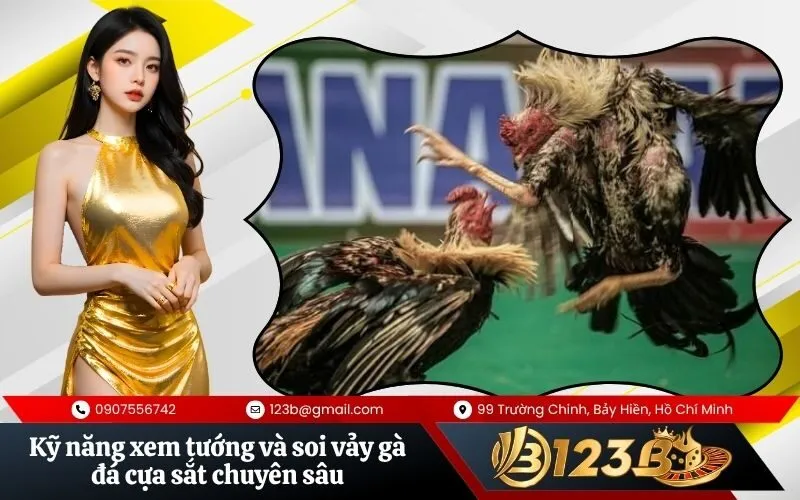 Kỹ năng xem tướng và soi vảy gà đá cựa sắt chuyên sâu