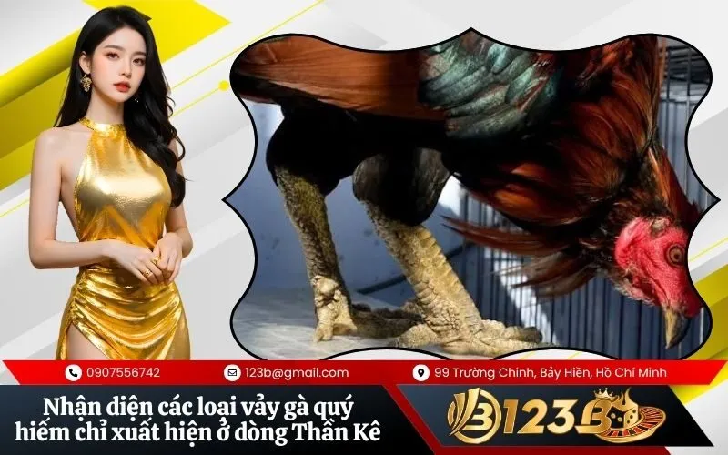 Nhận diện các loại vảy gà quý hiếm chỉ xuất hiện ở dòng Thần Kê