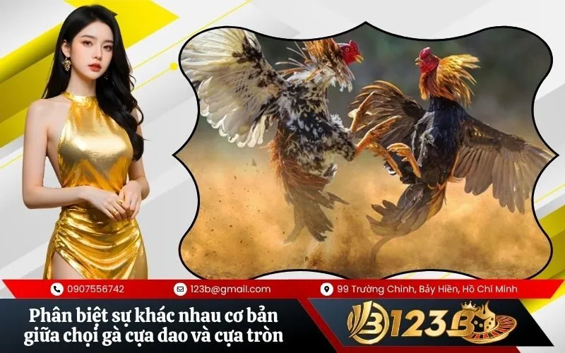 Phân biệt sự khác nhau cơ bản giữa chọi gà cựa dao và cựa tròn