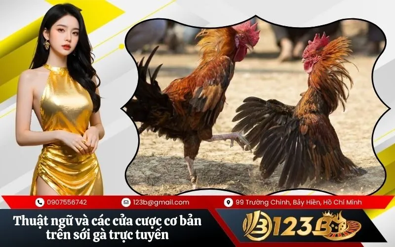 Thuật ngữ và các cửa cược cơ bản trên sới gà trực tuyến